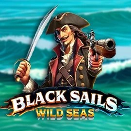 Official Slots logo: Black Sails Wild Seas by Infinity Dragon Studios at AllySpin Casino