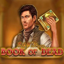 Book of Dead logo by Play'n GO AllySpin Casino