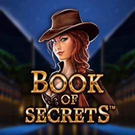Try Book of Secrets slot by SYNOT Games on aly-spin.com – logo image