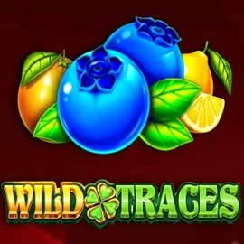 Wild Traces by Amusnet Interactive, showcased at aly-spin.com – game logo